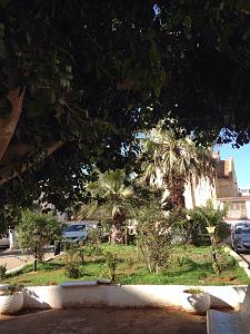 ORAN HOPITAL CIVIL (3)